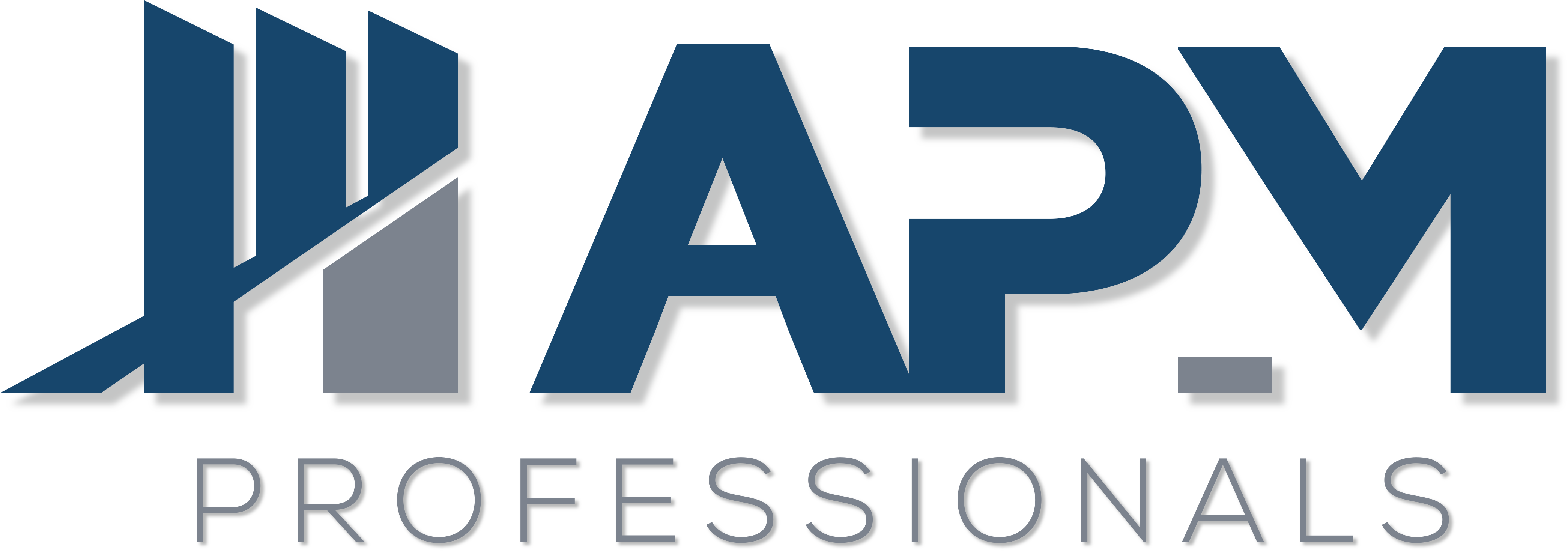 APM Professionals